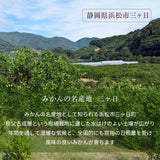 柑橘  【柑土里ファーム】 せとか 3.5kg センサー 糖度12度 静岡県三ケ日《3/上旬～3/中旬より出荷》