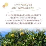 柑橘  【柑土里ファーム】 せとか 3.5kg センサー 糖度12度 静岡県三ケ日《3/上旬～3/中旬より出荷》