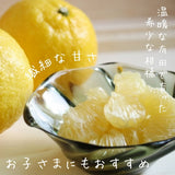 柑橘 【高石垣ファーム】 有田地区 はるか 家庭用 2.5kg 訳あり 和歌山県 《3/上旬～3/中旬より出荷》