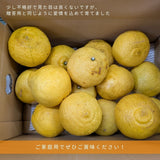 柑橘 【高石垣ファーム】 有田地区 はるか 家庭用 2.5kg 訳あり 和歌山県 《3/上旬～3/中旬より出荷》