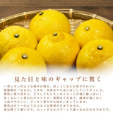 柑橘 【高石垣ファーム】 有田地区 はるか 家庭用 2.5kg 訳あり 和歌山県 《3/上旬～3/中旬より出荷》