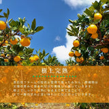 柑橘 【高石垣ファーム】 有田地区 はるか 家庭用 2.5kg 訳あり 和歌山県 《3/上旬～3/中旬より出荷》