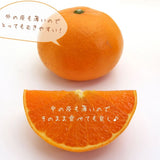 柑橘 【高石垣ファーム】 有田地区 せとか 家庭用 2.5kg 訳あり 和歌山県 《3/上旬～3/中旬より出荷》