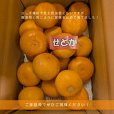 柑橘 【高石垣ファーム】 有田地区 せとか 家庭用 2.5kg 訳あり 和歌山県 《3/上旬～3/中旬より出荷》