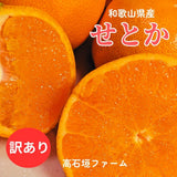 柑橘 【高石垣ファーム】 有田地区 せとか 家庭用 2.5kg 訳あり 和歌山県 《3/上旬～3/中旬より出荷》