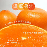 柑橘 【高石垣ファーム】 有田地区 せとか 家庭用 2.5kg 訳あり 和歌山県 《3/上旬～3/中旬より出荷》