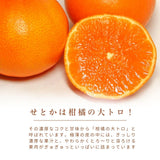 柑橘 【高石垣ファーム】 有田地区 せとか 家庭用 2.5kg 訳あり 和歌山県 《3/上旬～3/中旬より出荷》