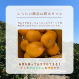 柑橘 【高石垣ファーム】 有田地区 せとか 家庭用 2.5kg 訳あり 和歌山県 《3/上旬～3/中旬より出荷》