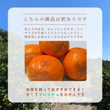 みかん 【高石垣ファーム】 有田みかん 家庭用 まろやか甘味みかん サイズ不揃い 4.5キロ 和歌山県有田川町 《みかん 【高石垣ファーム】 有田みかん 家庭用 まろやか甘味みかん サイズ不揃い 4.5キロ 和歌山県有田川町 《12/上旬～12/中旬より出荷開始》より出荷開始》