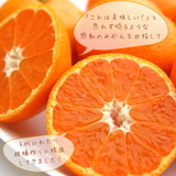みかん 【高石垣ファーム】 有田みかん 家庭用 まろやか甘味みかん サイズ不揃い 4.5キロ 和歌山県有田川町 《みかん 【高石垣ファーム】 有田みかん 家庭用 まろやか甘味みかん サイズ不揃い 4.5キロ 和歌山県有田川町 《12/上旬～12/中旬より出荷開始》より出荷開始》