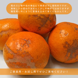 みかん 【高石垣ファーム】 有田みかん 家庭用 まろやか甘味みかん サイズ不揃い 4.5キロ 和歌山県有田川町 《みかん 【高石垣ファーム】 有田みかん 家庭用 まろやか甘味みかん サイズ不揃い 4.5キロ 和歌山県有田川町 《12/上旬～12/中旬より出荷開始》より出荷開始》