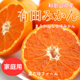 みかん 【高石垣ファーム】 有田みかん 家庭用 まろやか甘味みかん サイズ不揃い 4.5キロ 和歌山県有田川町 《みかん 【高石垣ファーム】 有田みかん 家庭用 まろやか甘味みかん サイズ不揃い 4.5キロ 和歌山県有田川町 《12/上旬～12/中旬より出荷開始》より出荷開始》