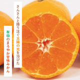 みかん 【高石垣ファーム】 有田みかん 家庭用 まろやか甘味みかん サイズ不揃い 4.5キロ 和歌山県有田川町 《みかん 【高石垣ファーム】 有田みかん 家庭用 まろやか甘味みかん サイズ不揃い 4.5キロ 和歌山県有田川町 《12/上旬～12/中旬より出荷開始》より出荷開始》