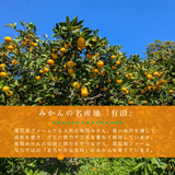 みかん 【高石垣ファーム】 有田みかん 家庭用 まろやか甘味みかん サイズ不揃い 4.5キロ 和歌山県有田川町 《みかん 【高石垣ファーム】 有田みかん 家庭用 まろやか甘味みかん サイズ不揃い 4.5キロ 和歌山県有田川町 《12/上旬～12/中旬より出荷開始》より出荷開始》