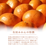 みかん 【高石垣ファーム】 有田みかん 家庭用 まろやか甘味みかん サイズ不揃い 4.5キロ 和歌山県有田川町 《みかん 【高石垣ファーム】 有田みかん 家庭用 まろやか甘味みかん サイズ不揃い 4.5キロ 和歌山県有田川町 《12/上旬～12/中旬より出荷開始》より出荷開始》
