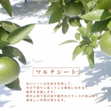 みかん 【高石垣ファーム】 有田みかん 家庭用 まろやか甘味みかん サイズ不揃い 4.5キロ 和歌山県有田川町 《みかん 【高石垣ファーム】 有田みかん 家庭用 まろやか甘味みかん サイズ不揃い 4.5キロ 和歌山県有田川町 《12/上旬～12/中旬より出荷開始》より出荷開始》