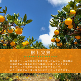 みかん 【高石垣ファーム】 有田みかん 家庭用 まろやか甘味みかん サイズ不揃い 4.5キロ 和歌山県有田川町 《みかん 【高石垣ファーム】 有田みかん 家庭用 まろやか甘味みかん サイズ不揃い 4.5キロ 和歌山県有田川町 《12/上旬～12/中旬より出荷開始》より出荷開始》
