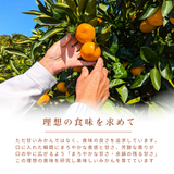 みかん 【高石垣ファーム】 有田みかん 家庭用 まろやか甘味みかん サイズ不揃い 4.5キロ 和歌山県有田川町 《みかん 【高石垣ファーム】 有田みかん 家庭用 まろやか甘味みかん サイズ不揃い 4.5キロ 和歌山県有田川町 《12/上旬～12/中旬より出荷開始》より出荷開始》