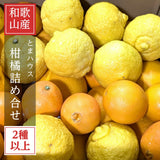 柑橘 【とまハウス】 有田地区 柑橘2種以上 家庭用 4キロ 和歌山県 《2026.2/上旬～2/中旬より出荷》