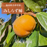 柿 【尾崎果樹園】 みしらず柿 身不知柿 約3kg 2L～4L 12～13個 福島県会津 《11/末～12/15の出荷》