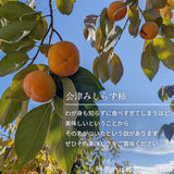 柿 【尾崎果樹園】 みしらず柿 身不知柿 約3kg 2L～4L 12～13個 福島県会津 《11/末～12/15の出荷》