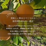 柿 【尾崎果樹園】 みしらず柿 身不知柿 約3kg 2L～4L 12～13個 福島県会津 《11/末～12/15の出荷》
