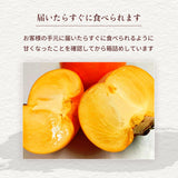 柿 【尾崎果樹園】 みしらず柿 身不知柿 約3kg 2L～4L 12～13個 福島県会津 《11/末～12/15の出荷》