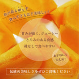柿 【尾崎果樹園】 みしらず柿 身不知柿 約3kg 2L～4L 12～13個 福島県会津 《11/末～12/15の出荷》