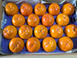 柿 【尾崎果樹園】 みしらず柿 身不知柿 4.5kg 2L～4L 15～20個 福島県会津 《11/末～12/15の出荷》