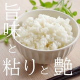 米 【ダイトーアグリ】 コシヒカリ 白米 5kg 食味分析78点以上 福島県須賀川市 令和6年産