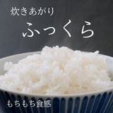 米 【ダイトーアグリ】 コシヒカリ 白米 10kg 食味分析78点以上  福島県須賀川市 令和6年産