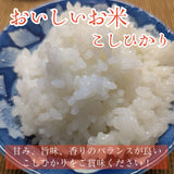米 【エムズアグリ】 コシヒカリ 白米 5kg 福島県須賀川市 令和6年産