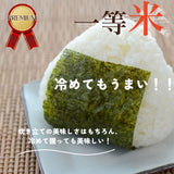 米 【おおひがし稲作研究会】 コシヒカリ 白米 5kg×2袋 10kg  福島県須賀川市 令和6年産