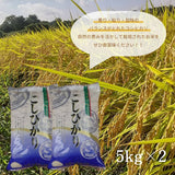 米 【おおひがし稲作研究会】 コシヒカリ 白米 5kg×2袋 10kg  福島県須賀川市 令和6年産