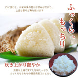 米 【おおひがし稲作研究会】 コシヒカリ 白米 5kg×2袋 10kg  福島県須賀川市 令和6年産