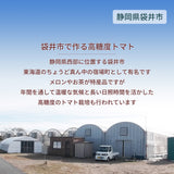 トマト 【ルーツ】 高糖度 フルーツトマト 糖度10度以上 業務用 3600g (150g×24P) 静岡県袋井市 《2026.1/上旬～1/中旬より出荷開始》