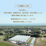 トマト 【ルーツ】 高糖度 フルーツトマト 糖度10度以上 業務用 3600g (150g×24P) 静岡県袋井市 《2026.1/上旬～1/中旬より出荷開始》