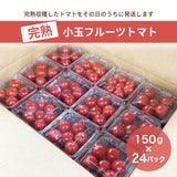 トマト 【ルーツ】 高糖度 フルーツトマト 糖度10度以上 業務用 3600g (150g×24P) 静岡県袋井市 《2026.1/上旬～1/中旬より出荷開始》