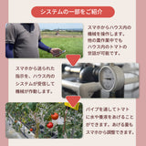 トマト 【ルーツ】 高糖度 フルーツトマト 糖度10度以上 600g (150g×4P) 静岡県袋井市 《2026.1/上旬～1/中旬より出荷開始》