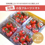 トマト 【ルーツ】 高糖度 フルーツトマト 糖度10度以上 600g (150g×4P) 静岡県袋井市 《2026.1/上旬～1/中旬より出荷開始》