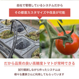 トマト 【ルーツ】 高糖度 フルーツトマト 糖度10度以上 1200g (150g×8P) 静岡県袋井市 《2026.1/上旬～1/中旬より出荷開始》