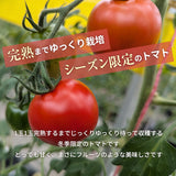 トマト 【ルーツ】 高糖度 フルーツトマト 糖度10度以上 1200g (150g×8P) 静岡県袋井市 《2026.1/上旬～1/中旬より出荷開始》