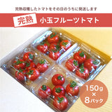 トマト 【ルーツ】 高糖度 フルーツトマト 糖度10度以上 1200g (150g×8P) 静岡県袋井市 《2026.1/上旬～1/中旬より出荷開始》