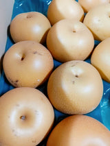 梨 【グリーンファーム】 萱場梨 訳あり 家庭用 5kg ９～20玉 福島県 福島市 和梨 《8/下旬～9/上旬より出荷》