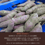 干し芋 【GOVタカノ】 干芋 丸干し 3kg 家庭用 茨城県 《1/上旬～中旬より出荷》