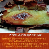 焼いも 【GOVタカノ】 農家さんが作る 焼き芋 ミニ焼芋 800g 茨城県鉾田市 《12/上旬～中旬より出荷》