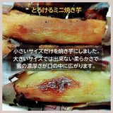 焼いも 【GOVタカノ】 農家さんが作る 焼き芋 ミニ焼芋 800g 茨城県鉾田市 《12/上旬～中旬より出荷》