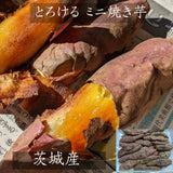 焼いも 【GOVタカノ】 農家さんが作る 焼き芋 ミニ焼芋 800g 茨城県鉾田市 《12/上旬～中旬より出荷》