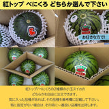 スイカ 小玉スイカ 【KSK出荷組合】 訳あり 西瓜 L ×5個 8kg 家庭用 自家用 紅トップ/べにくろのどちらか  茨城県筑西市 すいか 小玉 訳あり 《5/6～5/中旬より出荷》