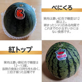 スイカ 小玉スイカ 【KSK出荷組合】 紅トップ べにくろ 2L 好きな2個 4～5kg 食べ比べ 贈答用 茨城県筑西市 すいか 小玉 母の日 《5/6～5/中旬より出荷》